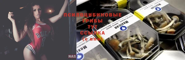 первитин Горняк
