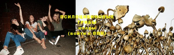 первитин Горняк