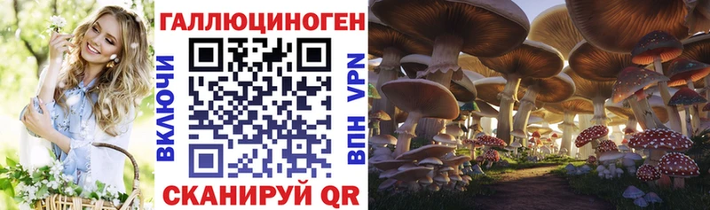 Купить  Мариинск  Псилоцибиновые грибы MAGIC MUSHROOMS 